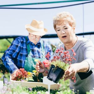 Atividades Para Fazer Com Idosos