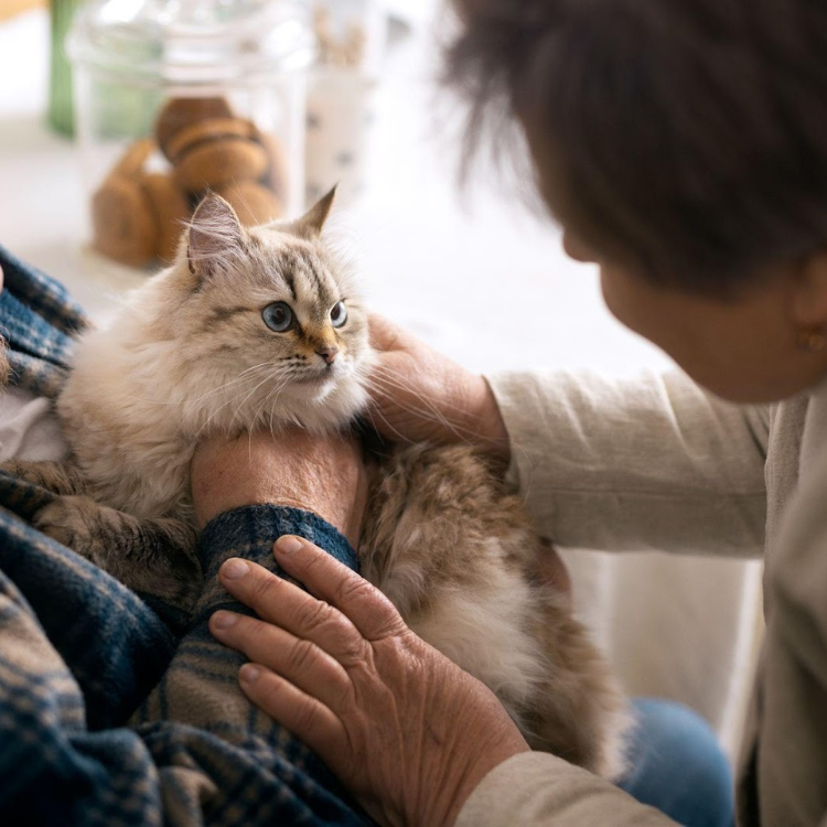 A Terapia Assistida por Animais no Bem-Estar dos Idosos